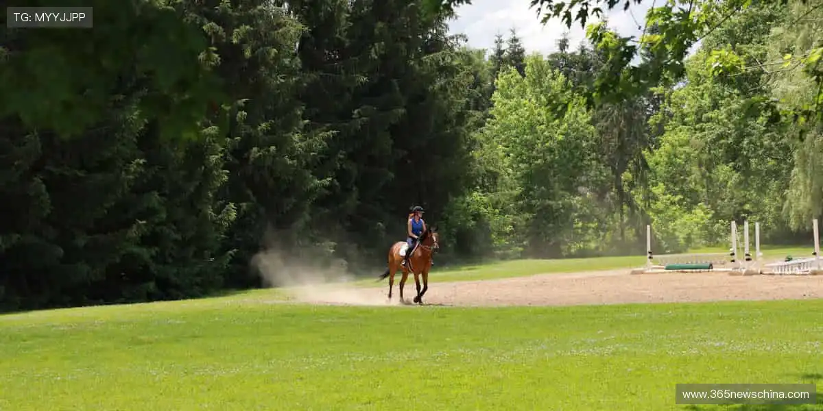玩家的笑容,是我们最大的成就!😄🌟